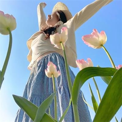 特务龙虎榜